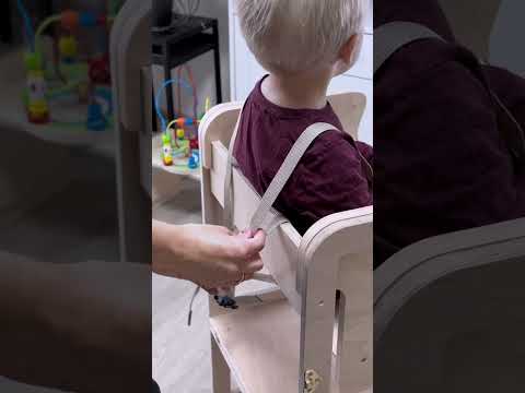 Addon1 - 3in1 High chair, step stool combo